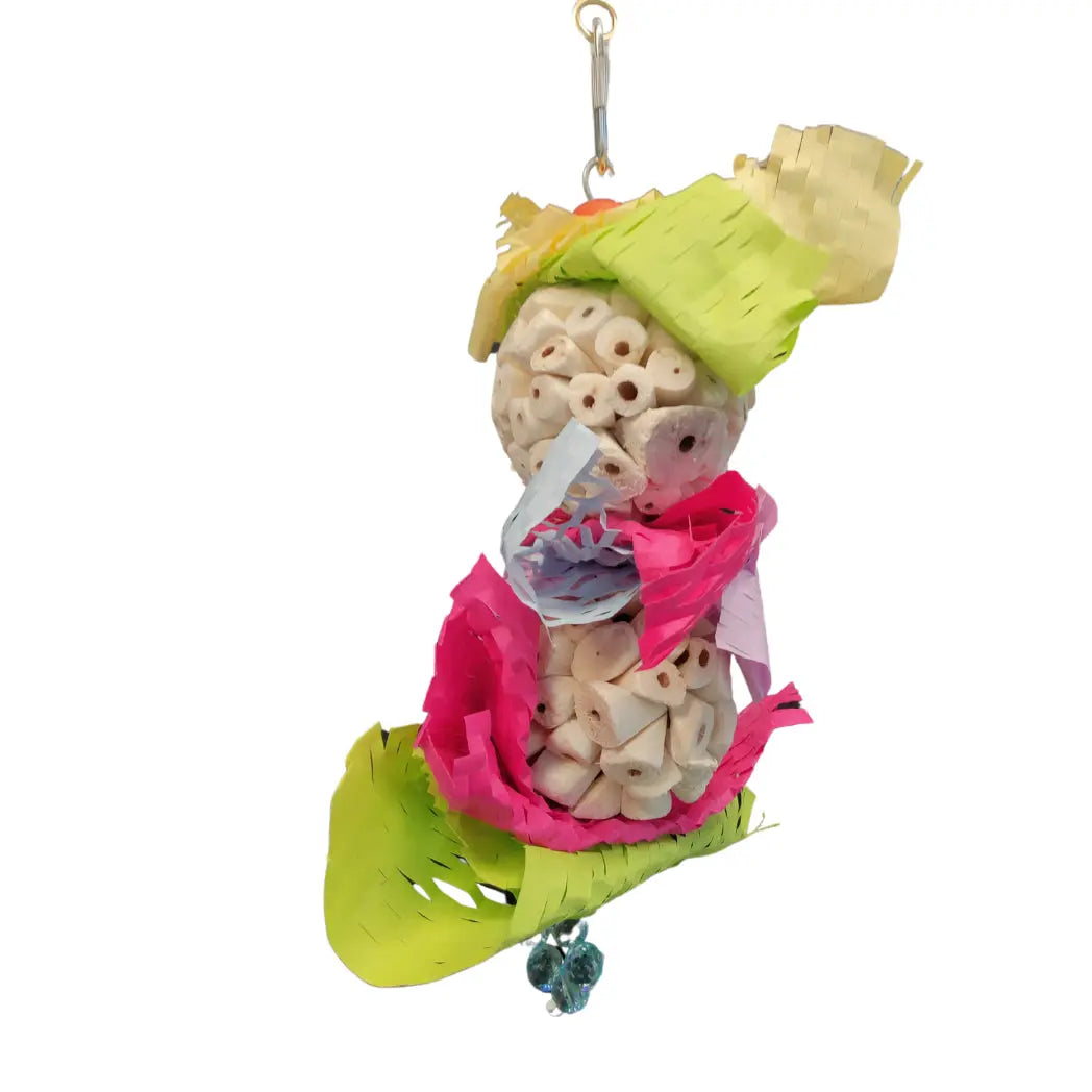 Twin Sola Balls Bird Toy