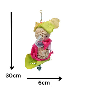 Twin Sola Balls Bird Toy