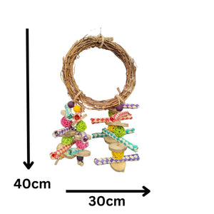 Vine Ring and Coloured Shredables Bird Toy